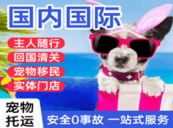 营口机场快递国际宠物托运 【国